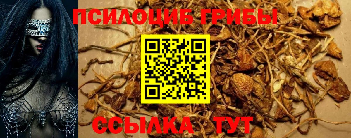 Галлюциногенные грибы ЛСД Алексин