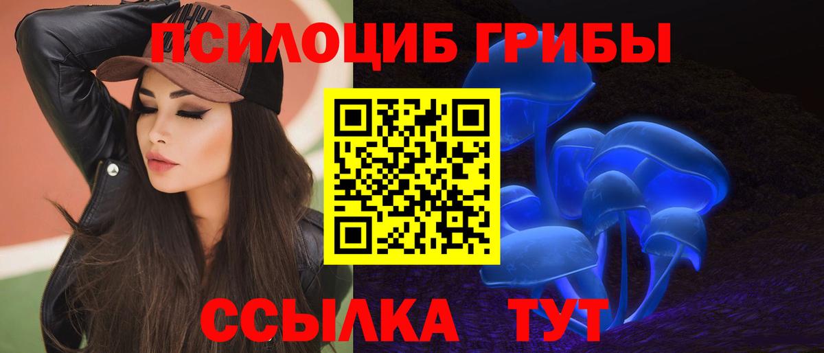 Псилоцибиновые грибы Psilocybe  Галлюциногенные грибы Psilocybe  цены   Вход с VPN  Алексин 